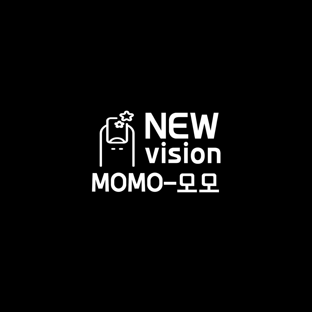 뉴비전 - 모모
